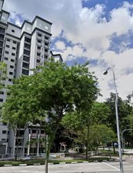 Beauty Garden (D19), Terrace #638677571